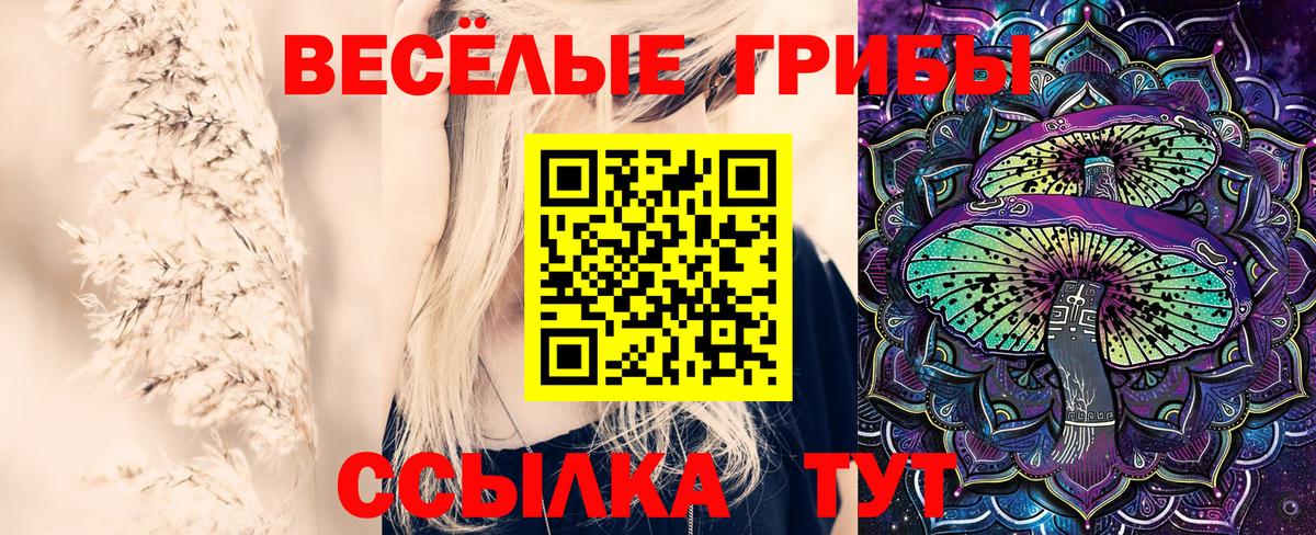 Сальск  Галлюциногенные грибы MAGIC MUSHROOMS  Вход с VPN 
